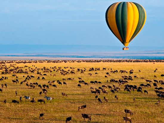 草原上漂流 非洲首个热气球节升空
