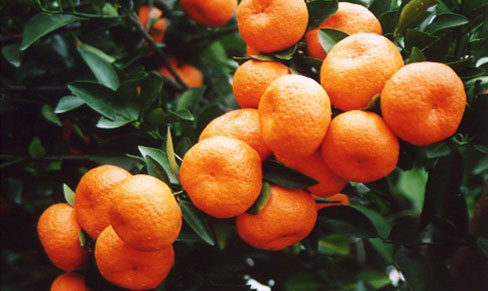 Ϸ۽---ۡеġ֮